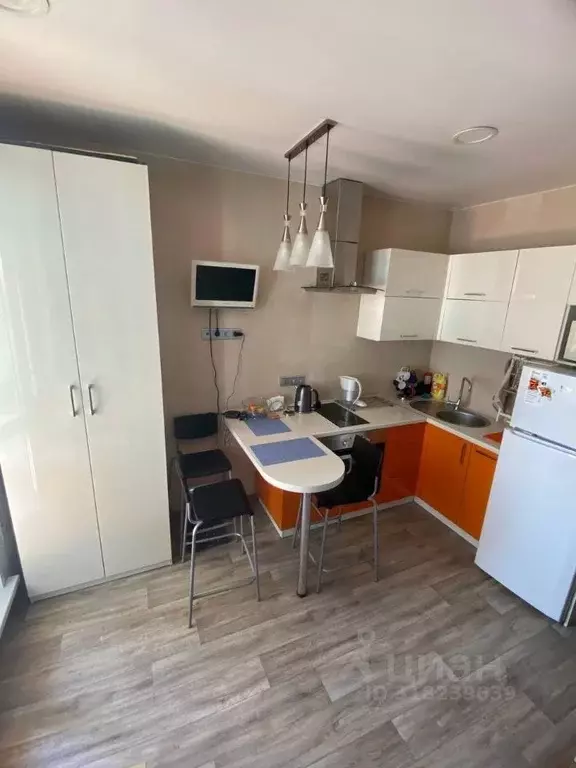 Студия Новосибирская область, Новосибирск ул. Кирова, 225 (24.0 м) - Фото 0