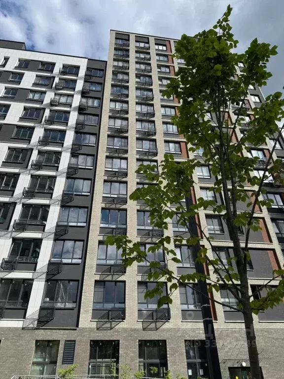 Студия Москва бул. Скандинавский, 5к1 (24.6 м) - Фото 1