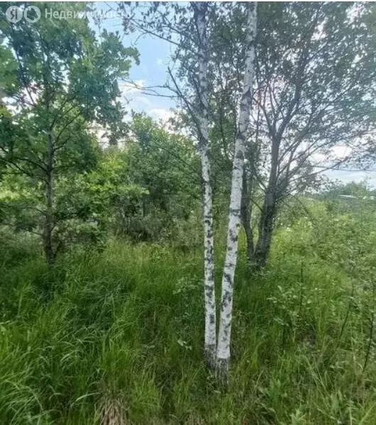 Участок в Москва, ТАО, район Вороново, СНТ Ёлочка (6 м) - Фото 0