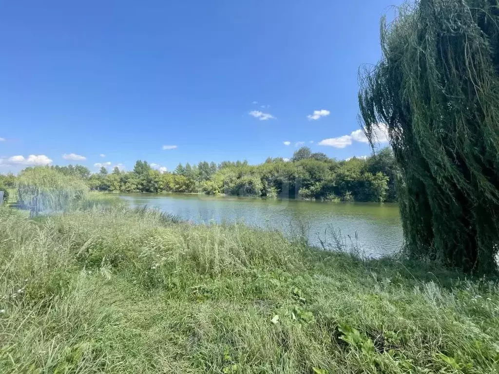 Участок в Тамбовская область, Рассказово ул. Клещева, 9 (11.0 сот.) - Фото 2