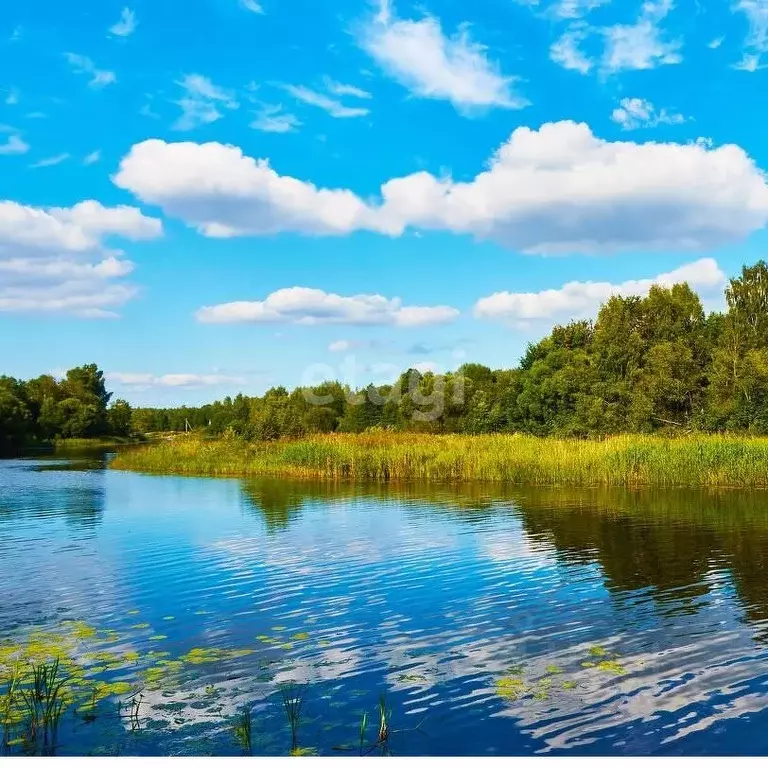 Участок в Саратовская область, Федоровский район, Мокроус рп  (10.0 ... - Фото 1
