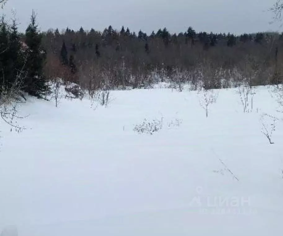 Участок в Московская область, Дмитровский муниципальный округ, д. ... - Фото 1