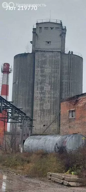 Помещение свободного назначения (80000 м) - Фото 0