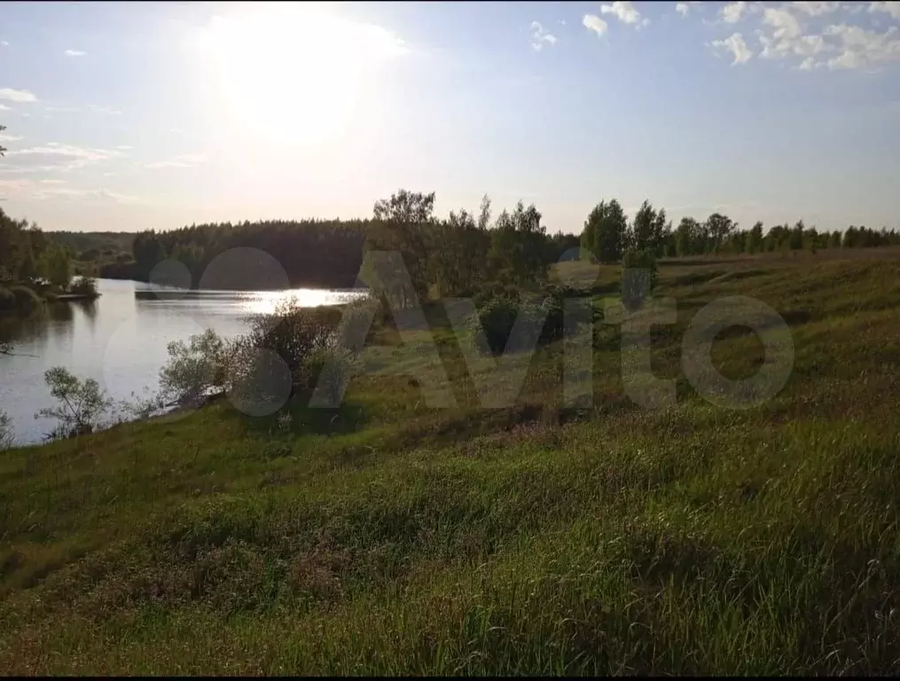 Участок 6 сот. (СНТ, ДНП) - Фото 1