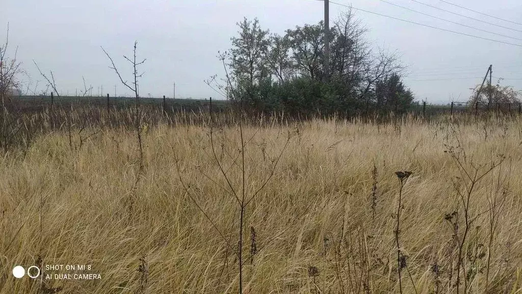 Участок в Воронежская область, Рамонский район, Скляевское с/пос, ... - Фото 2