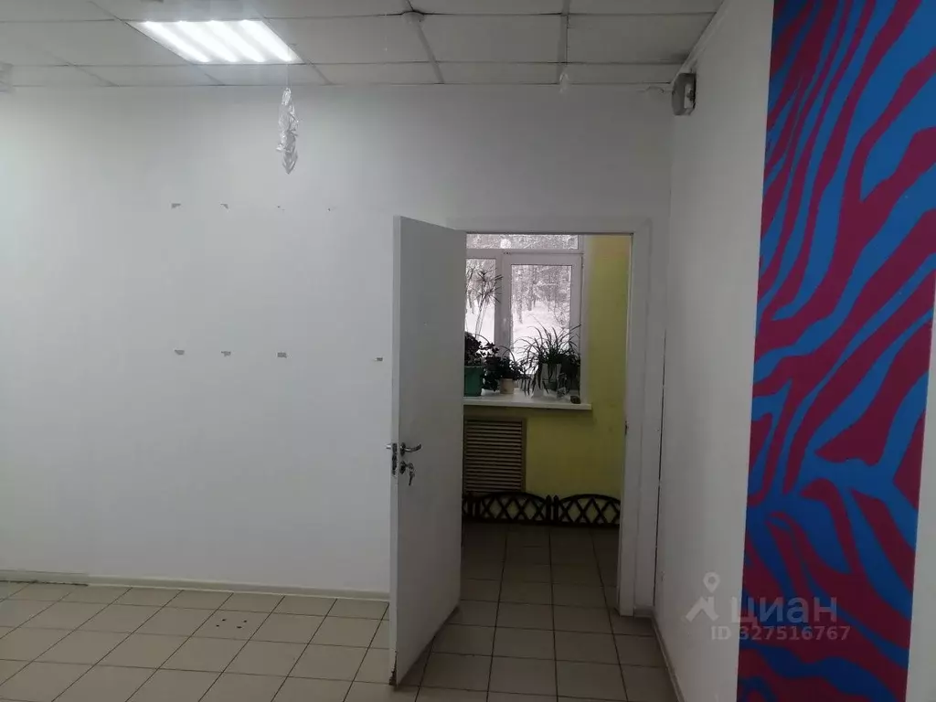 Торговая площадь в Коми, Сыктывкар просп. Бумажников, 41/12 (35 м) - Фото 2