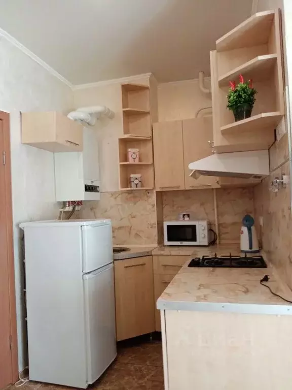 Студия Краснодарский край, Сочи Мамайка мкр, ул. Волжская, 77 (24.0 м) - Фото 1