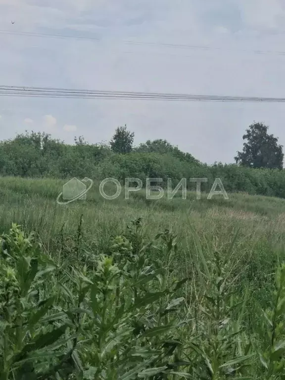 Участок в Тюменская область, Тюмень Лаванда садовое товарищество,  ... - Фото 1