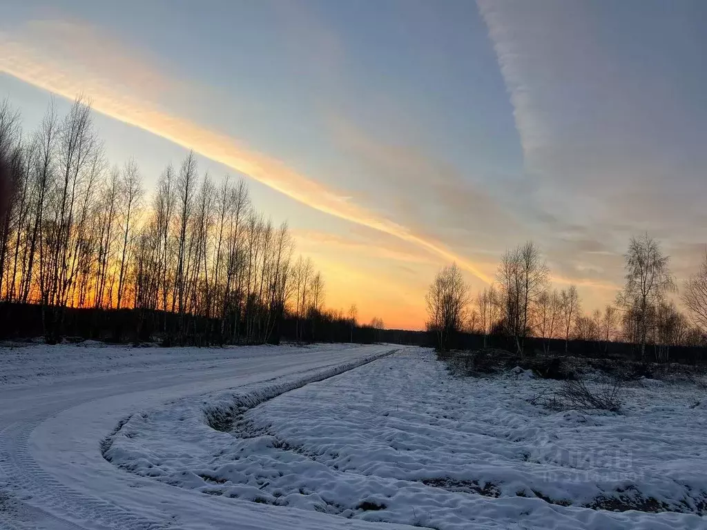 Участок в Московская область, Чехов городской округ, д. Глуховка  ... - Фото 0