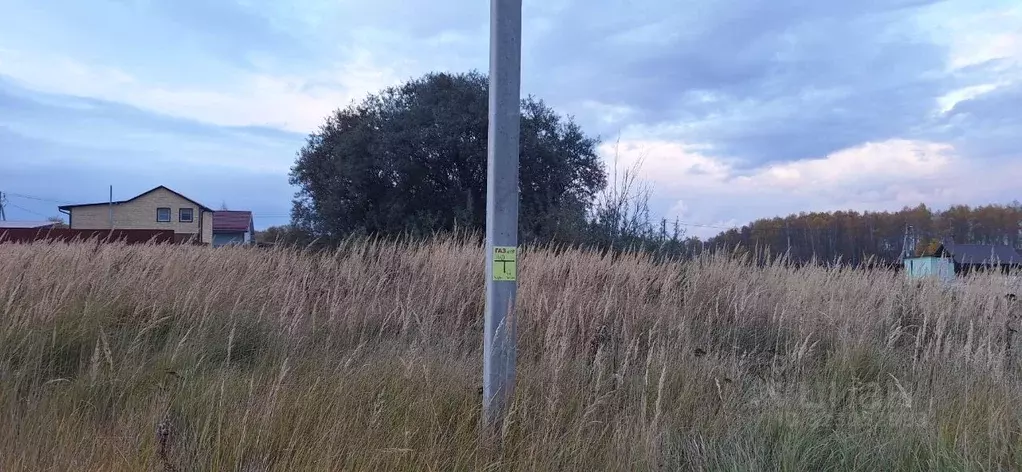 Участок в Калужская область, Бабынинский муниципальный округ, ... - Фото 2