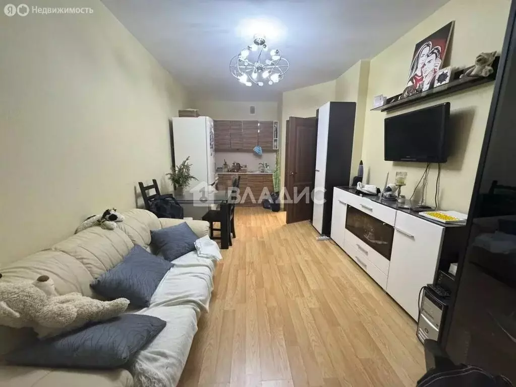 1-комнатная квартира: деревня Анкудиновка, Русская улица, 4 (36.6 м) - Фото 1