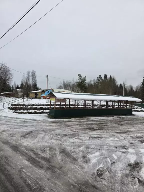 Участок в Ленинградская область, Кингисеппский район, Нежновское ... - Фото 2