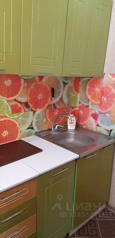 1-к кв. Новосибирская область, Искитим Подгорный мкр, 30 (29.0 м) - Фото 2