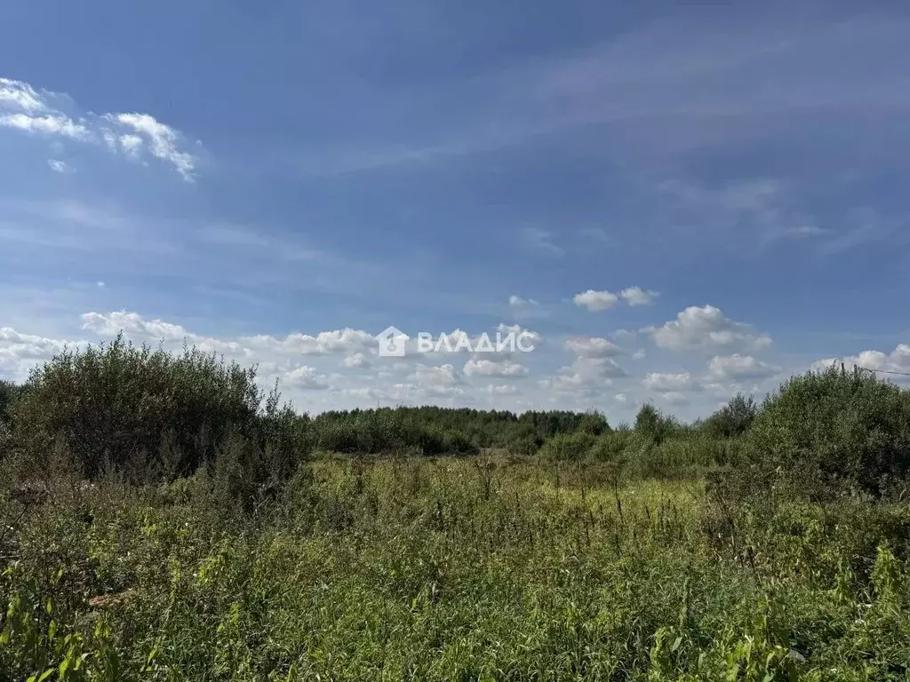 Участок в Московская область, Богородский городской округ, д. ... - Фото 2
