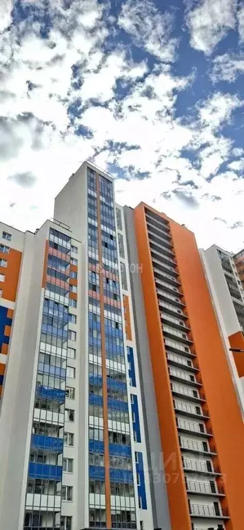 Студия Санкт-Петербург ул. Плесецкая, 10 (24.0 м) - Фото 1