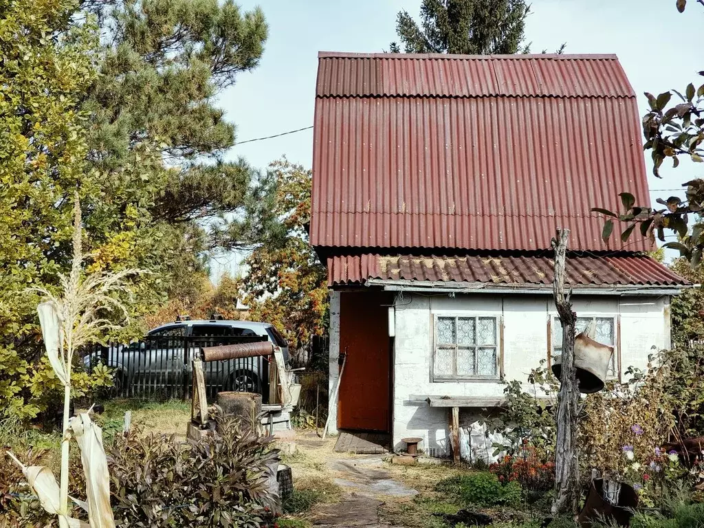 Дом в Омская область, Любинский район, СНТ Сибзаводовец-3 ТСН  (30 м) - Фото 1