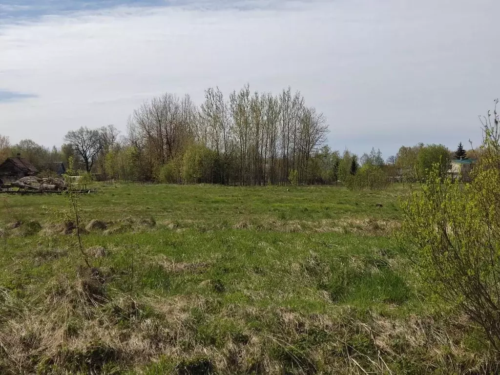 Участок в Псковская область, Гдов городское поселение, д. Полично  ... - Фото 1