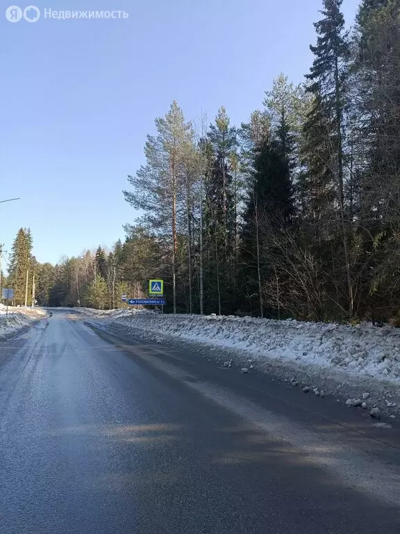 Участок в Шиховское сельское поселение, деревня Головизнины (17.8 м) - Фото 2