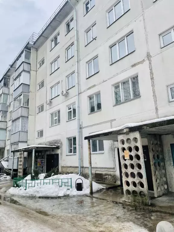 2-к кв. Красноярский край, Сосновоборск ул. Энтузиастов, 27 (51.0 м) - Фото 1