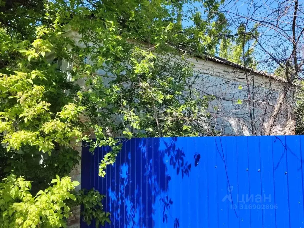 Дом в Белгородская область, Красногвардейский район, Верхнепокровское ... - Фото 2