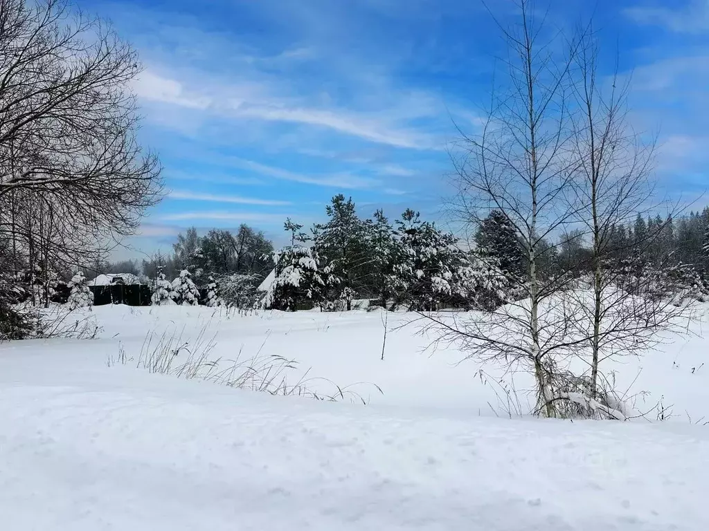 Участок в Московская область, Дмитровский муниципальный округ, ... - Фото 1