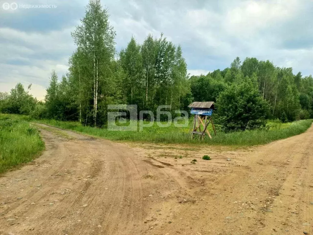 Участок в Костромской район, Кузнецовское сельское поселение, деревня ... - Фото 1