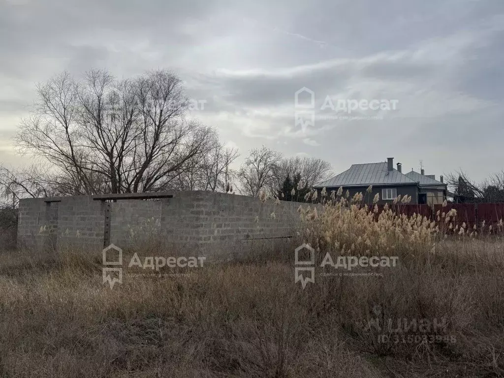 Участок в Волгоградская область, Среднеахтубинский район, Ахтубинское ... - Фото 2