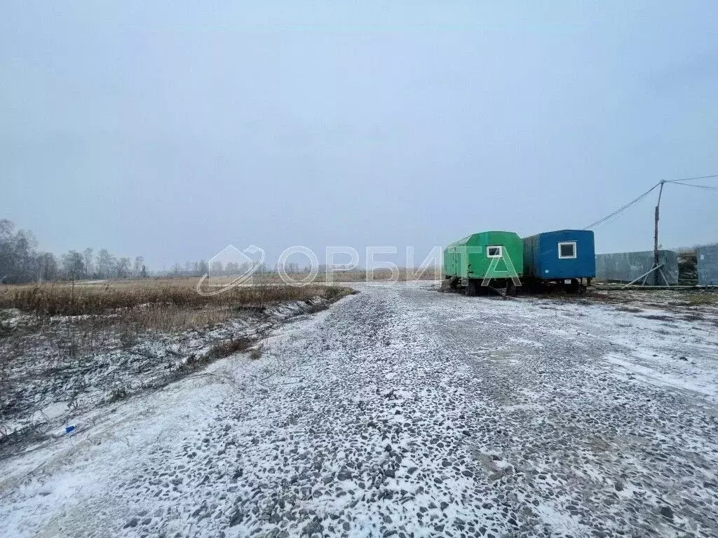 Участок в Тюменская область, Тюменский район, Онегин кп ул. Видная ... - Фото 1