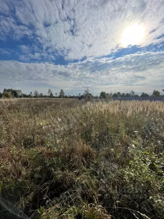 Участок в Тверская область, Калининский муниципальный округ, д. ... - Фото 1