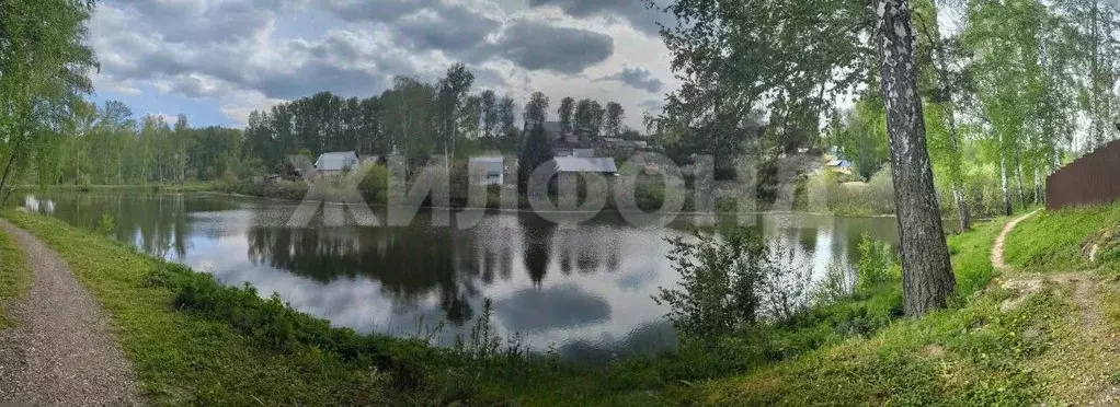 Участок в Новосибирская область, Новосибирский район, Раздольненский ... - Фото 2