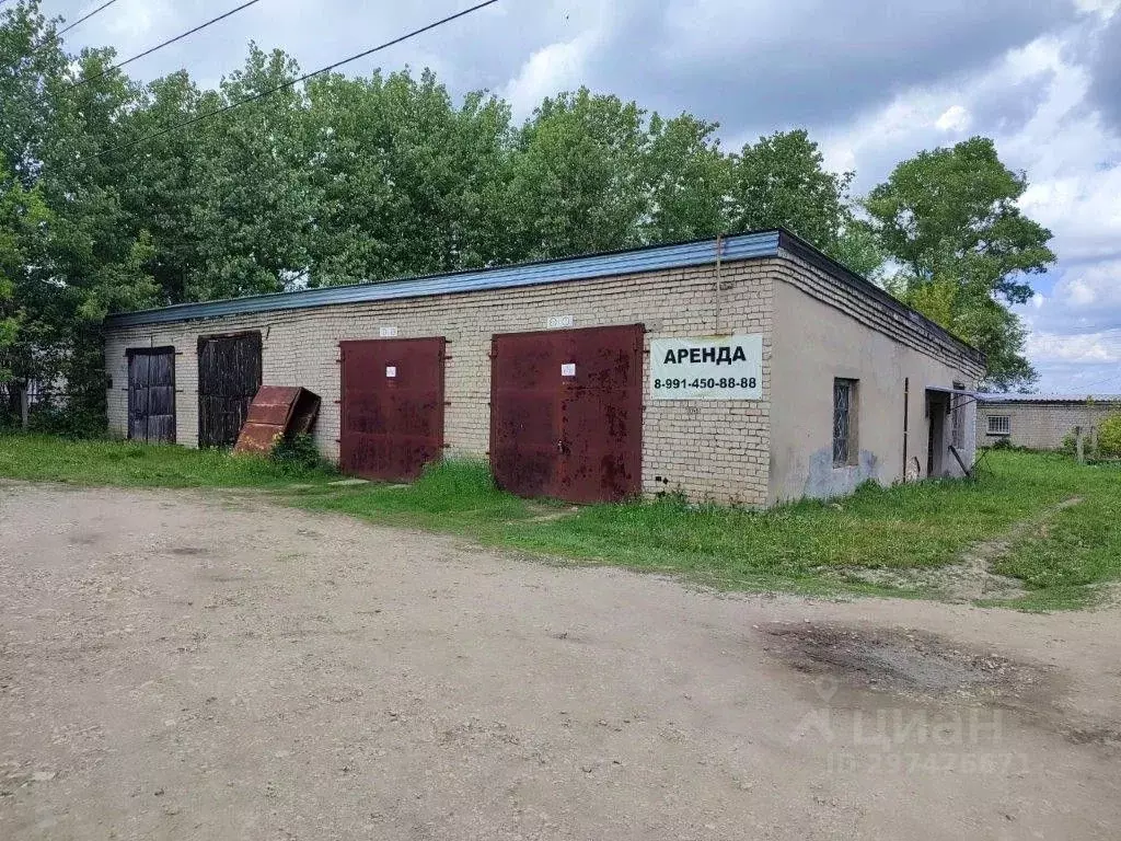 Помещение свободного назначения в Кировская область, Пижанка пгт ул. ... - Фото 0