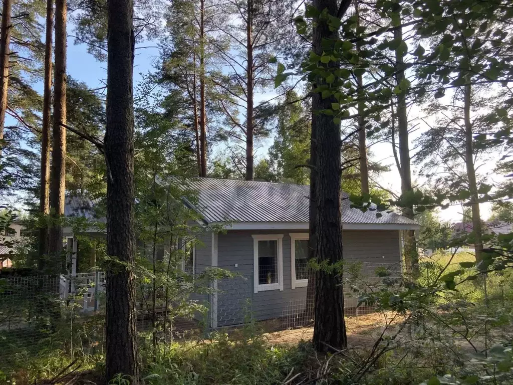 Дом в Ленинградская область, Приозерский район, Запорожское с/пос, ... - Фото 2