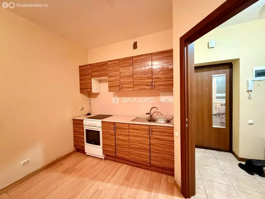 1-комнатная квартира: деревня Анкудиновка, Русская улица, 4 (37.9 м) - Фото 1