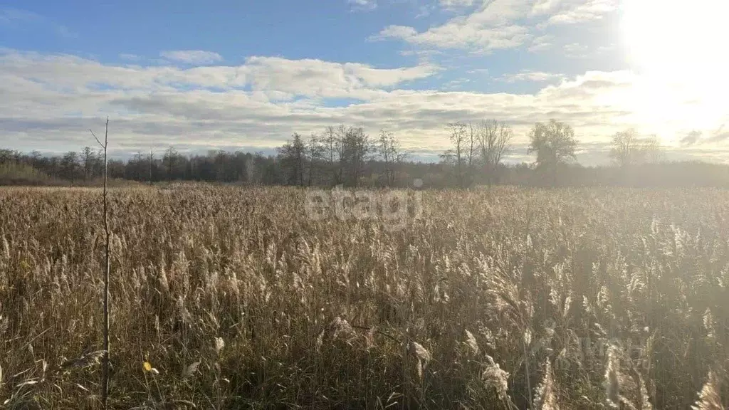 Участок в Ульяновская область, Чердаклинское городское поселение, ... - Фото 0