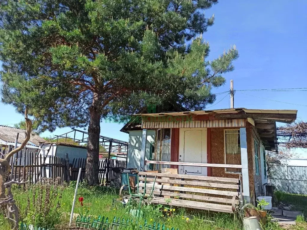 Дом в Саратовская область, Балаково Дзержинец СТ, проезд 8-й (41 м) - Фото 0