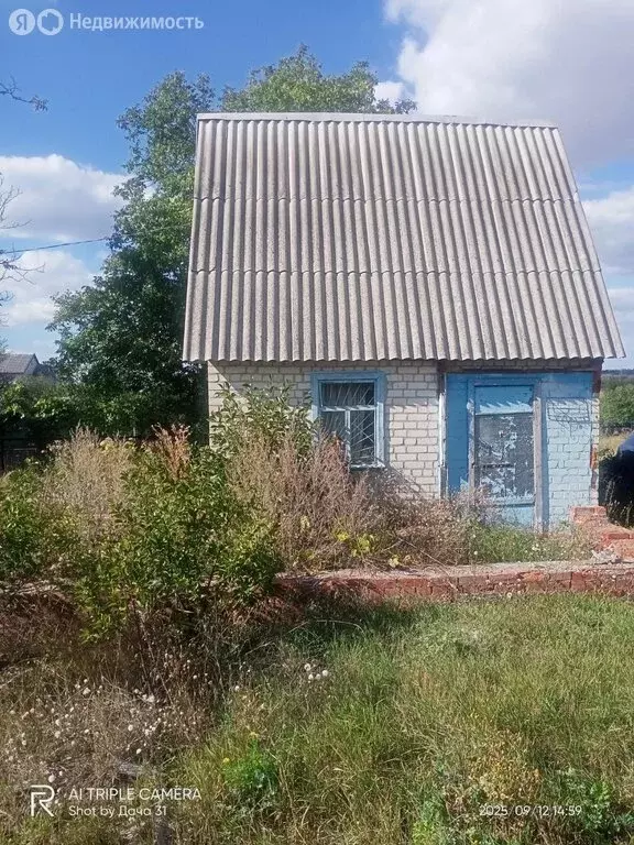 Дом в Белгородская область, Яковлевский муниципальный округ, СНТ ... - Фото 0