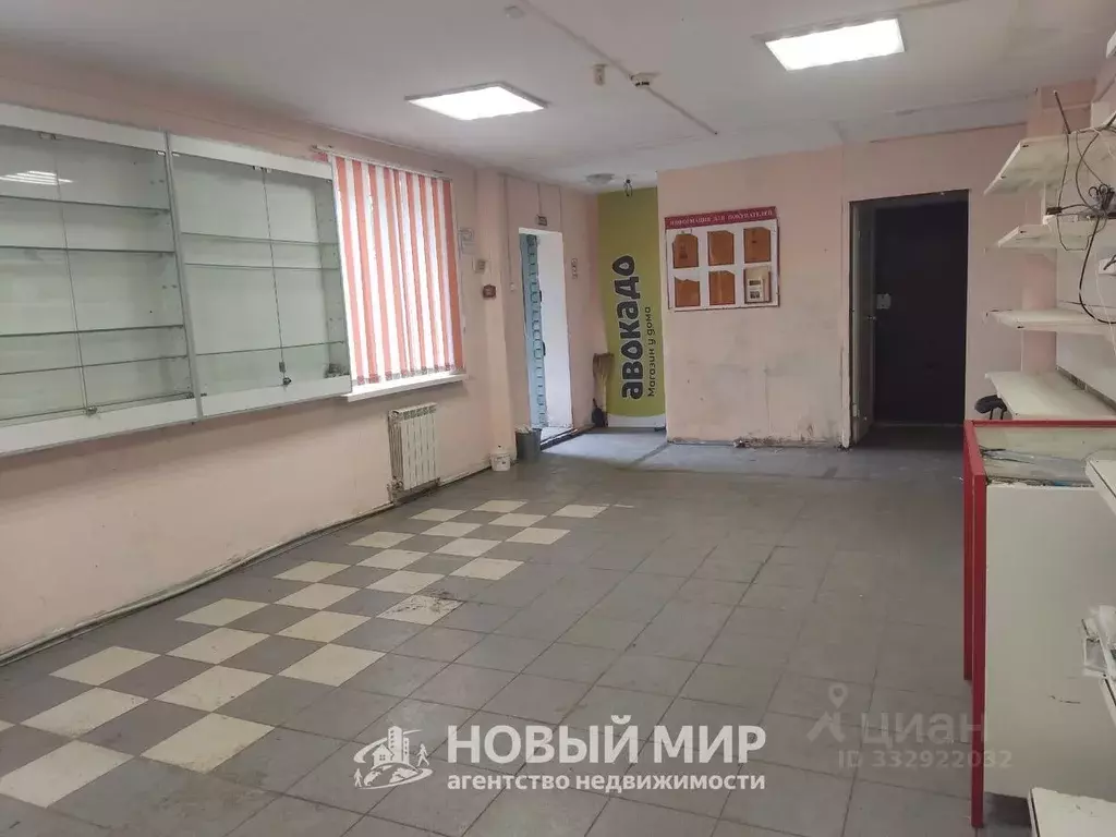 Помещение свободного назначения в Нижегородская область, Бор ул. ... - Фото 2