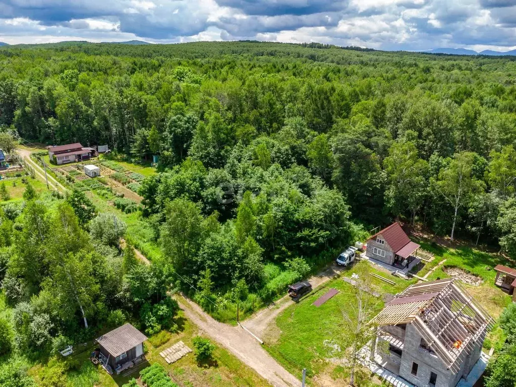 Участок в Хабаровский край, Хабаровский район, Полесье СНТ  (9.9 сот.) - Фото 1