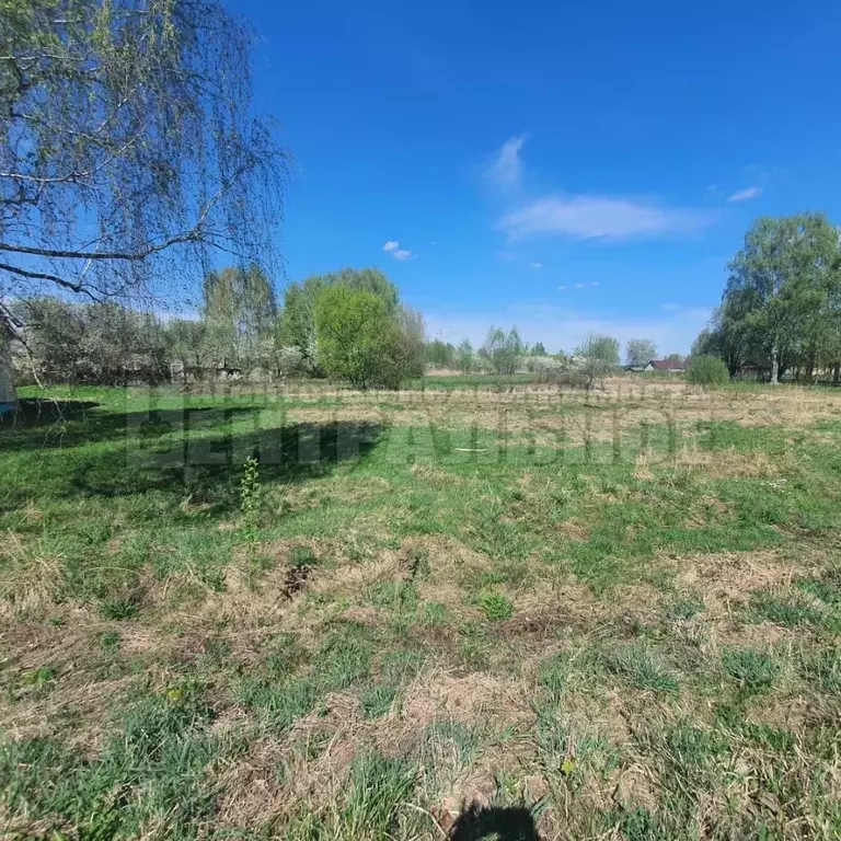 Участок в Смоленская область, Смоленский муниципальный округ, д. ... - Фото 2