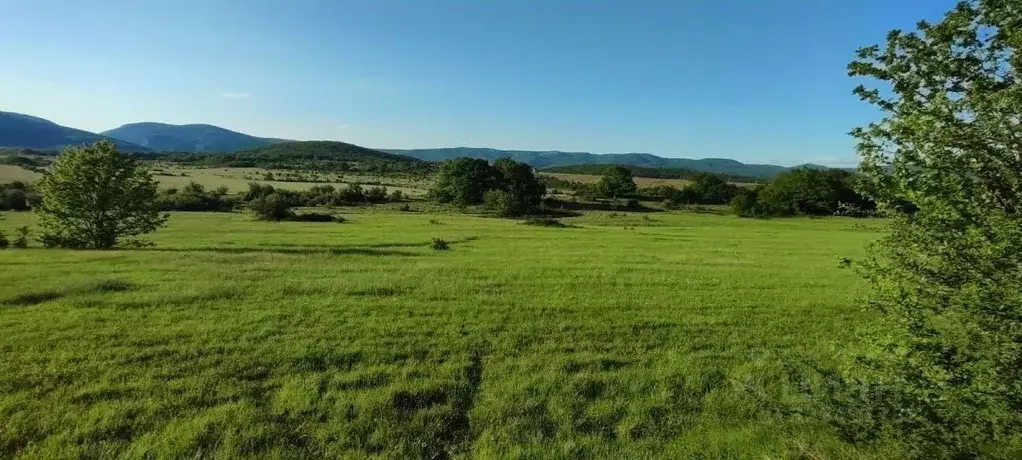 Участок в Севастополь с. Орлиное,  (193.0 сот.) - Фото 2