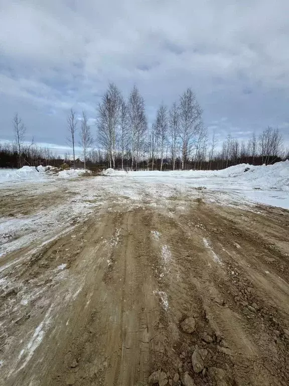 Участок 5,1 сот. (СНТ, ДНП) - Фото 1