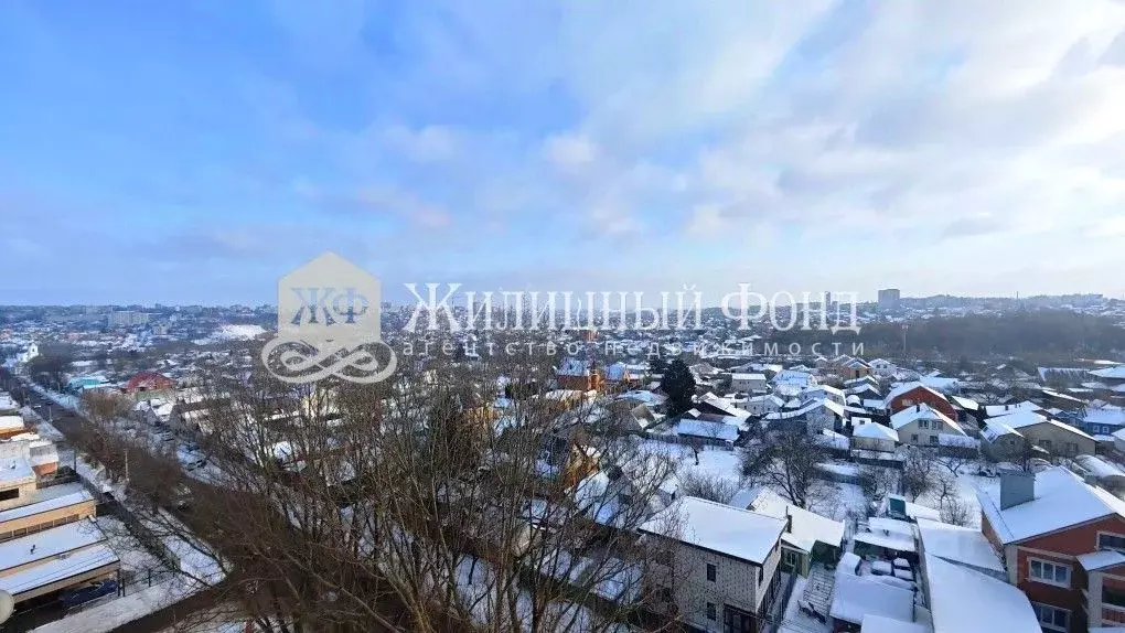 2-к кв. Курская область, Курск Запольная ул., 41 (47.5 м) - Фото 1