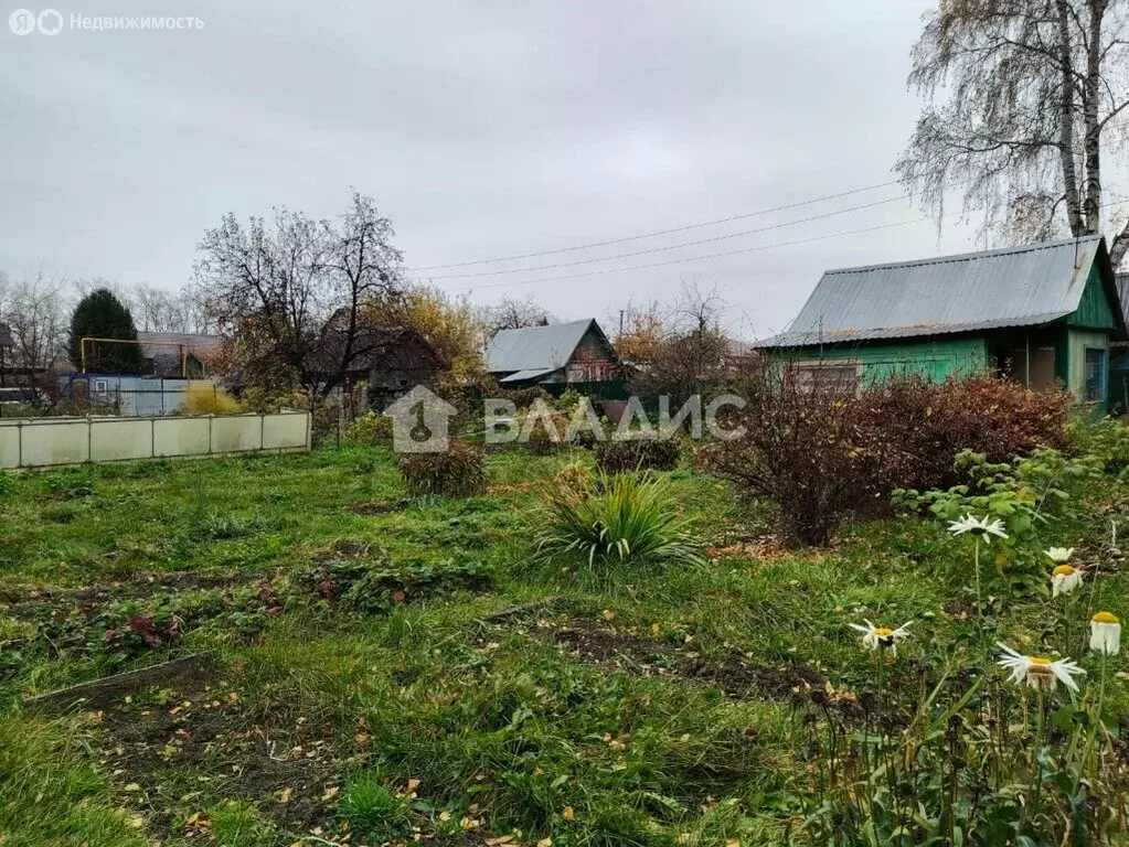 Участок в Новосибирск, СТ Любитель, 128 (6.62 м) - Фото 0