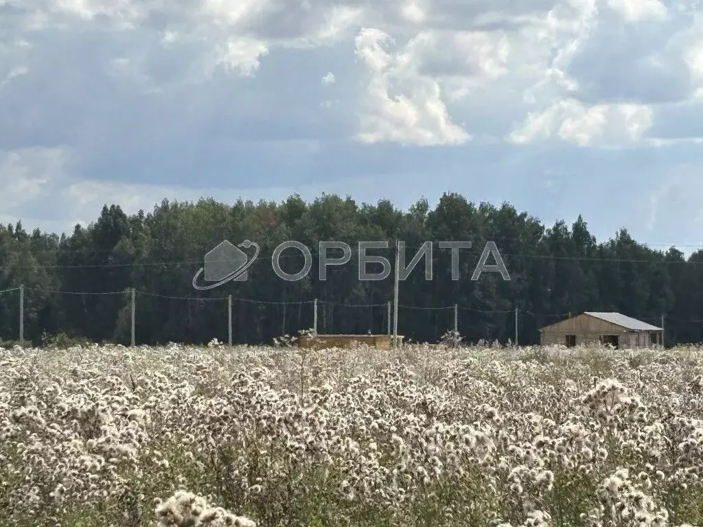 Участок в Тюменская область, Тюменский муниципальный округ, с. ... - Фото 1