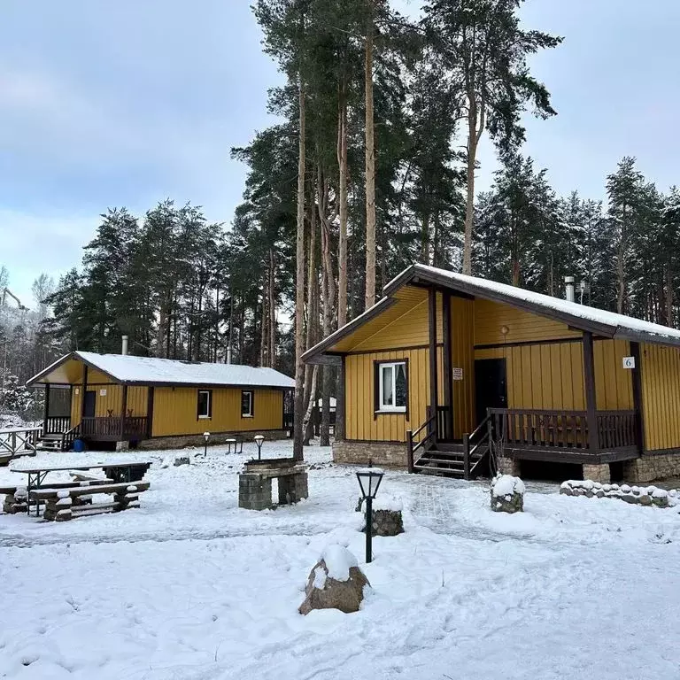 Дом в Ленинградская область, Всеволожский район, Токсовское городское ... - Фото 0