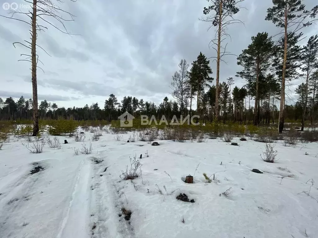 Участок в Читинский район, село Карповка, микрорайон Чистый ключ ... - Фото 2