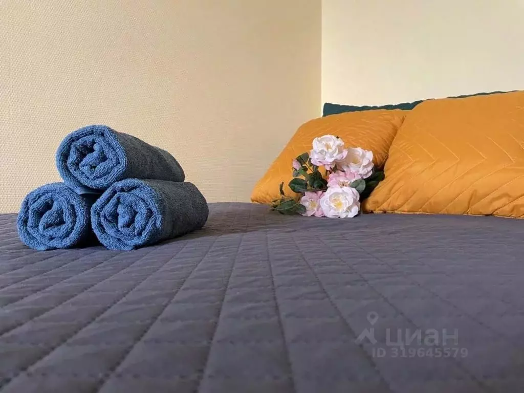 1-к кв. Московская область, Одинцово ул. Маковского, 16 (43.0 м) - Фото 2