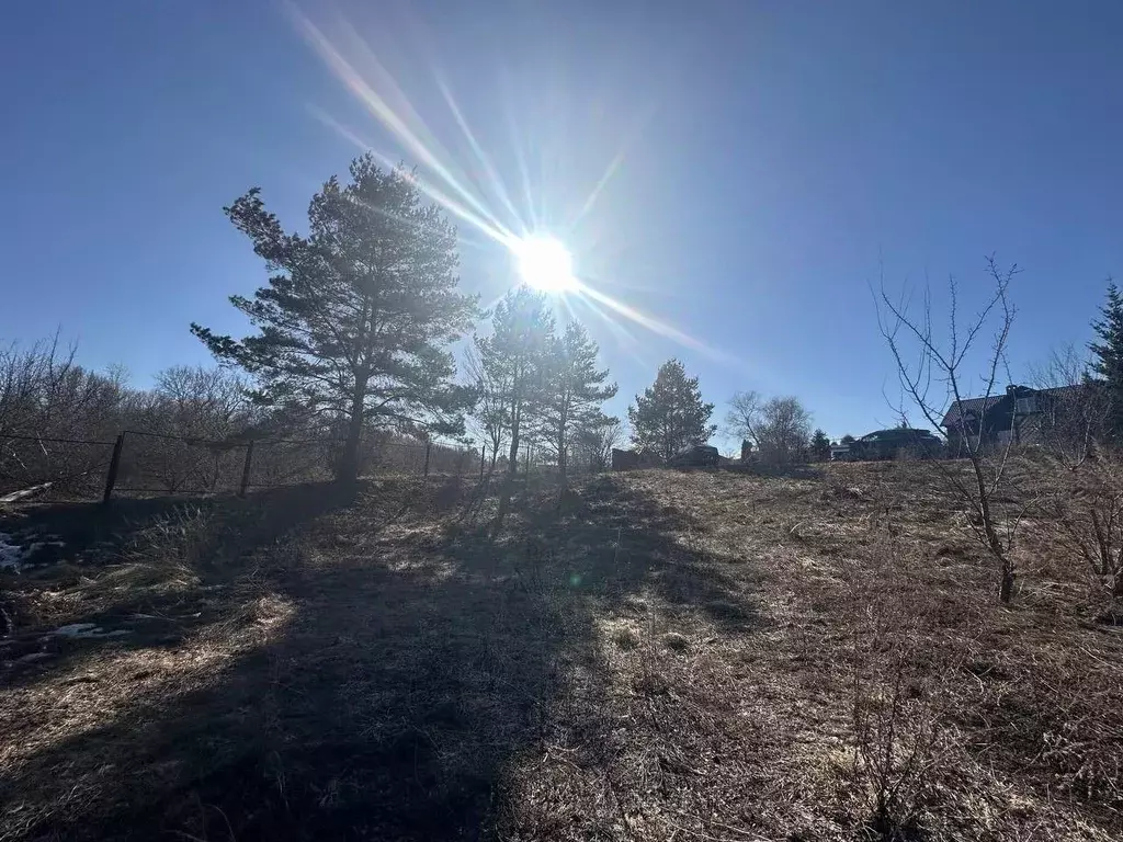 Участок в Татарстан, Верхнеуслонский район, Набережно-Морквашское ... - Фото 2