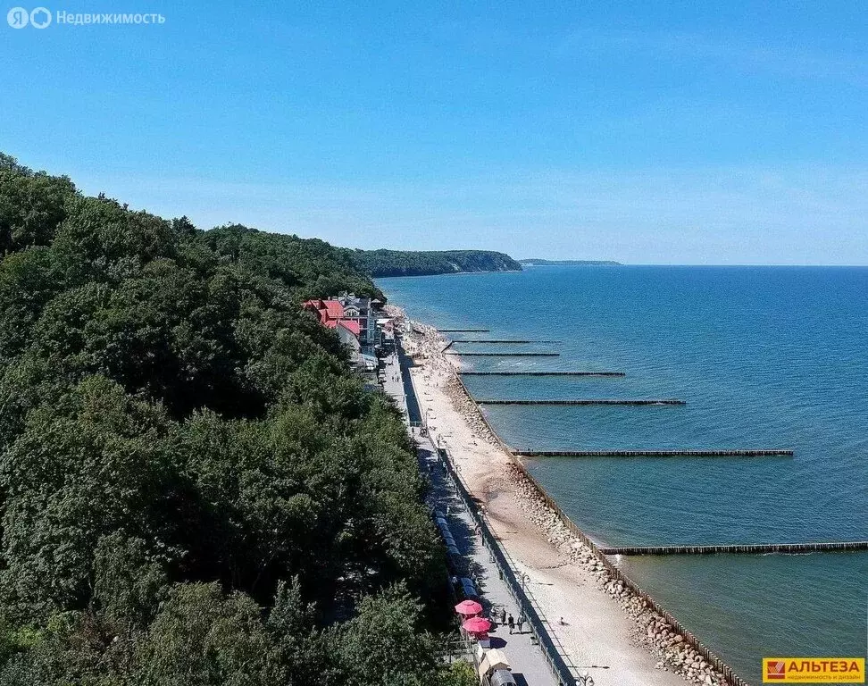 Помещение свободного назначения (116 м) - Фото 2