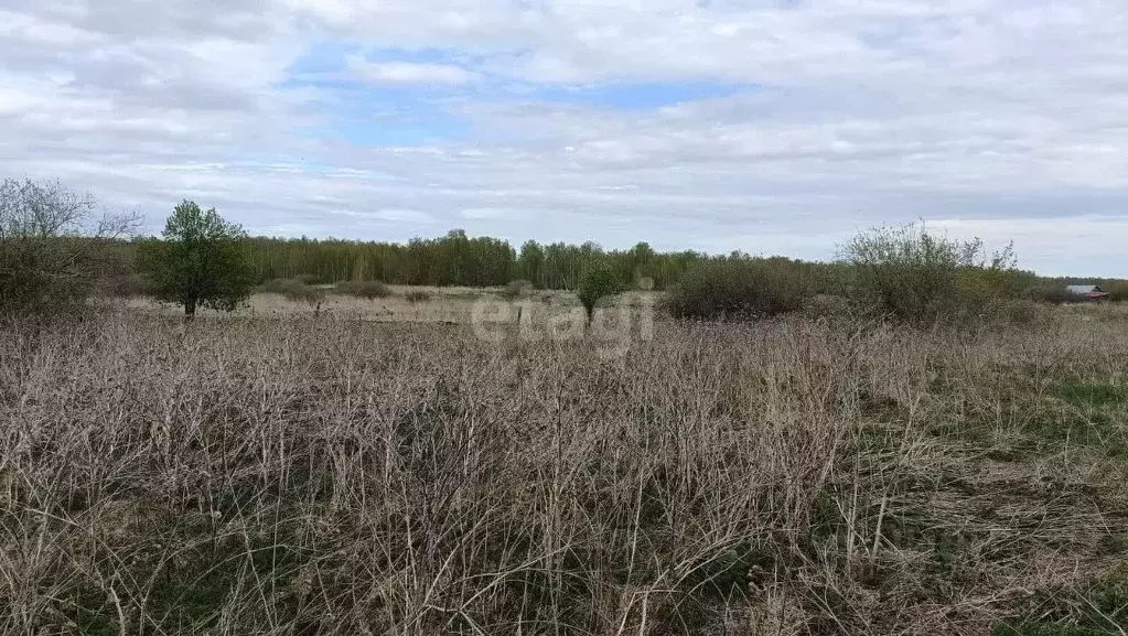 Дом в Свердловская область, Талицкий муниципальный округ, д. Береговая ... - Фото 0